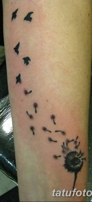 Фото тату птицы на запястье 17.08.2018 №208 — tattoo of a bird on the wrist — tatufoto.com