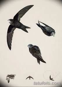 Эскиз тату: Рисунок стаи ласточек в полете, выполненный в технике графики. Разные размеры и позы птиц создают ощущение движения.