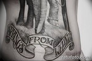 Фото татуировки на животе с надписью "Springs From Within" и изображением цветов. Черно-белый рисунок, выполненный в стиле леттеринг и ботаника.