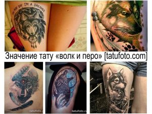 Фото тату: коллаж из нескольких изображений татуировок с волками и перьями. Различные стили и техники исполнения.