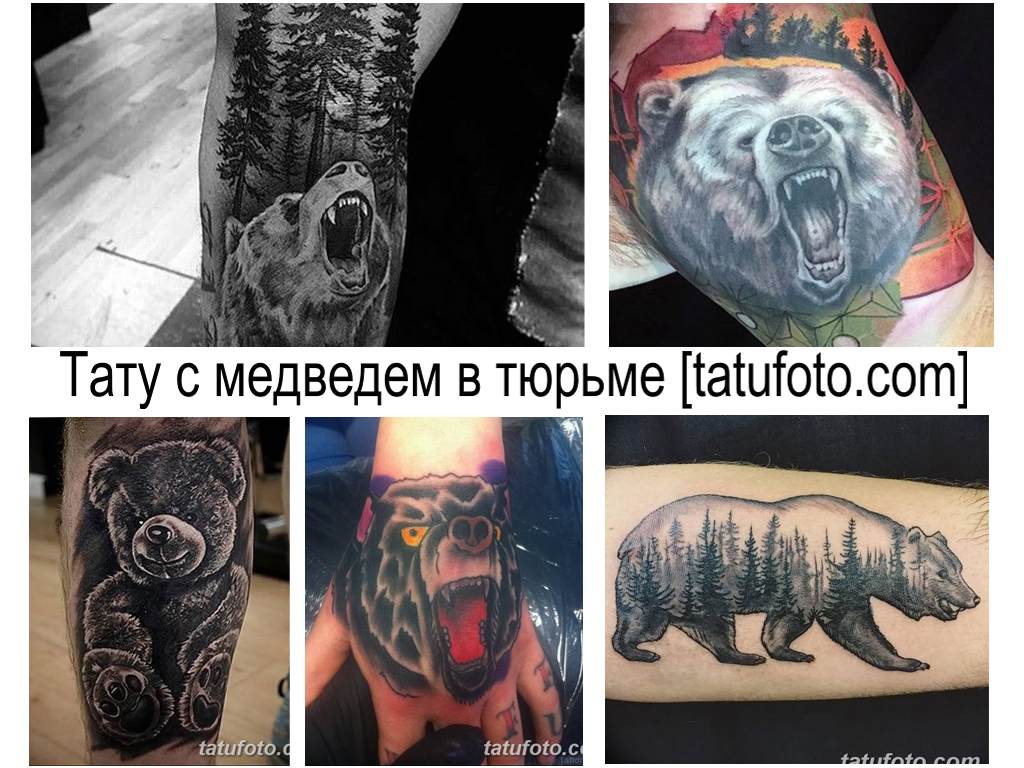 Значение тату с медведем в тюрьме - фото примеры интересных готовых рисунков татуировки медведь