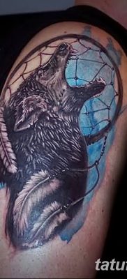 Фото тату волк и перо от 21.09.2018 №003 — tattoo wolf and feather — tatufoto.com