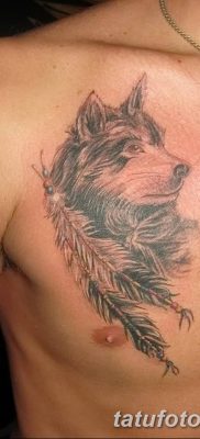 Фото тату волк и перо от 21.09.2018 №005 — tattoo wolf and feather — tatufoto.com