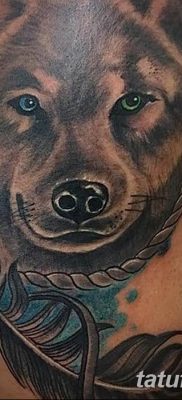 Фото тату волк и перо от 21.09.2018 №006 — tattoo wolf and feather — tatufoto.com