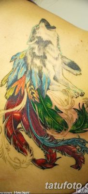 Фото тату волк и перо от 21.09.2018 №009 — tattoo wolf and feather — tatufoto.com