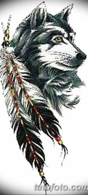 Фото тату волк и перо от 21.09.2018 №014 — tattoo wolf and feather — tatufoto.com