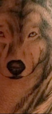 Фото тату волк и перо от 21.09.2018 №016 — tattoo wolf and feather — tatufoto.com