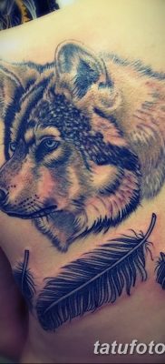 Фото тату волк и перо от 21.09.2018 №018 — tattoo wolf and feather — tatufoto.com