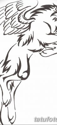 Фото тату волк и перо от 21.09.2018 №024 — tattoo wolf and feather — tatufoto.com