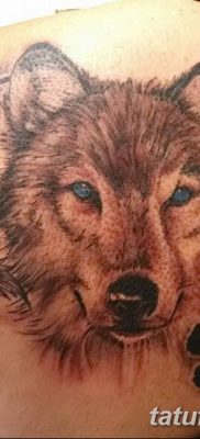 Фото тату волк и перо от 21.09.2018 №025 — tattoo wolf and feather — tatufoto.com