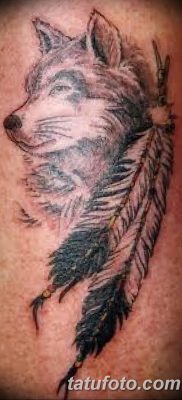 Фото тату волк и перо от 21.09.2018 №028 — tattoo wolf and feather — tatufoto.com