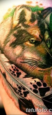 Фото тату волк и перо от 21.09.2018 №031 — tattoo wolf and feather — tatufoto.com