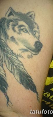Фото тату волк и перо от 21.09.2018 №037 — tattoo wolf and feather — tatufoto.com