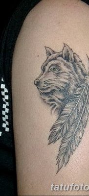 Фото тату волк и перо от 21.09.2018 №038 — tattoo wolf and feather — tatufoto.com