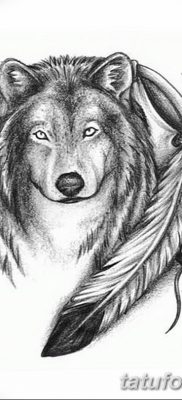 Фото тату волк и перо от 21.09.2018 №044 — tattoo wolf and feather — tatufoto.com