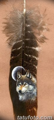 Фото тату волк и перо от 21.09.2018 №050 — tattoo wolf and feather — tatufoto.com