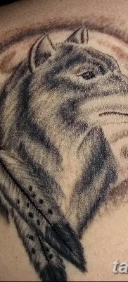 Фото тату волк и перо от 21.09.2018 №056 — tattoo wolf and feather — tatufoto.com