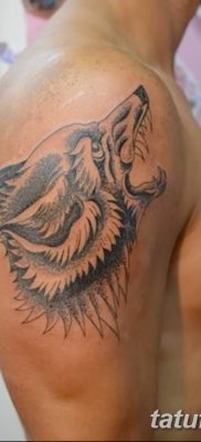 Фото тату волк и перо от 21.09.2018 №058 — tattoo wolf and feather — tatufoto.com