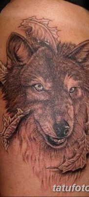 Фото тату волк и перо от 21.09.2018 №062 — tattoo wolf and feather — tatufoto.com