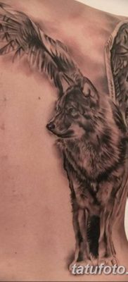 Фото тату волк и перо от 21.09.2018 №064 — tattoo wolf and feather — tatufoto.com