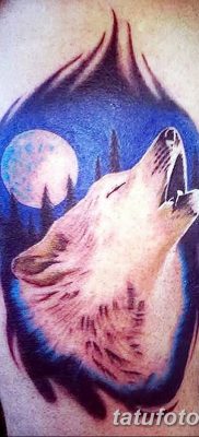 Фото тату волк и перо от 21.09.2018 №067 — tattoo wolf and feather — tatufoto.com