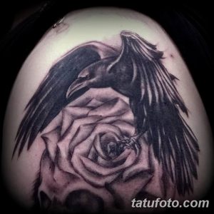 Фото тату ворона, летящего над розой, выполненного в стиле blackwork. Контрастный рисунок татуировки с детальной проработкой лепестков и перьев.