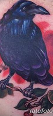 Фото тату ворон от 15.09.2018 №115 — raven tattoos — tatufoto.com