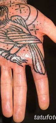 Фото тату ворон от 15.09.2018 №118 — raven tattoos — tatufoto.com