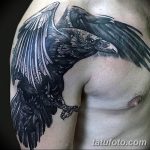 Фото тату ворон от 15.09.2018 №120 - raven tattoos - tatufoto.com