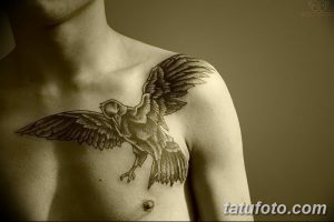 Фото тату: реалистичная черно-серая татуировка ворона с расправленными крыльями на груди и плече мужчины.