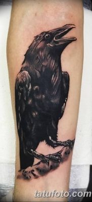 Фото тату ворон от 15.09.2018 №134 — raven tattoos — tatufoto.com