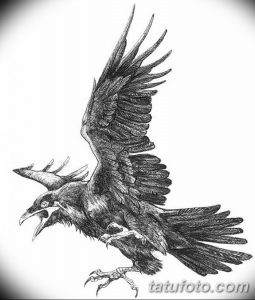 Эскиз татуировки ворона в динамичной позе, с широко раскрытым клювом и расправленными крыльями. Черно-белый рисунок с высокой детализацией.