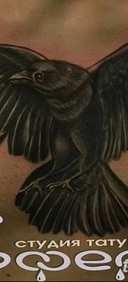 Фото тату ворон от 15.09.2018 №149 — raven tattoos — tatufoto.com