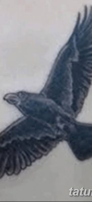 Фото тату ворон от 15.09.2018 №151 — raven tattoos — tatufoto.com