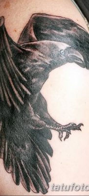 Фото тату ворон от 15.09.2018 №155 — raven tattoos — tatufoto.com
