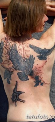 Фото тату ворон от 15.09.2018 №157 — raven tattoos — tatufoto.com