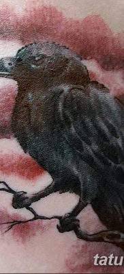 Фото тату ворон от 15.09.2018 №158 — raven tattoos — tatufoto.com