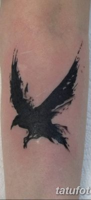 Фото тату ворон от 15.09.2018 №160 — raven tattoos — tatufoto.com