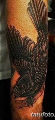 Фото тату ворон от 15.09.2018 №170 — raven tattoos — tatufoto.com