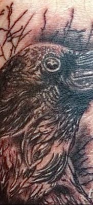 Фото тату ворон от 15.09.2018 №175 — raven tattoos — tatufoto.com