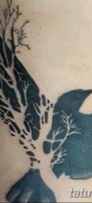 Фото тату ворон от 15.09.2018 №180 — raven tattoos — tatufoto.com
