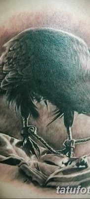 Фото тату ворон от 15.09.2018 №184 — raven tattoos — tatufoto.com