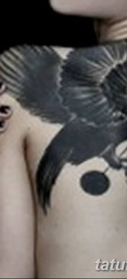 Фото тату ворон от 15.09.2018 №190 — raven tattoos — tatufoto.com