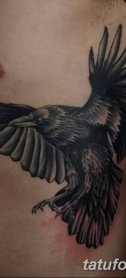 Фото тату ворон от 15.09.2018 №191 — raven tattoos — tatufoto.com