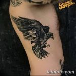 Фото тату ворон от 15.09.2018 №196 - raven tattoos - tatufoto.com