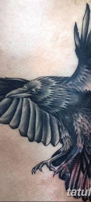 Фото тату ворон от 15.09.2018 №198 — raven tattoos — tatufoto.com