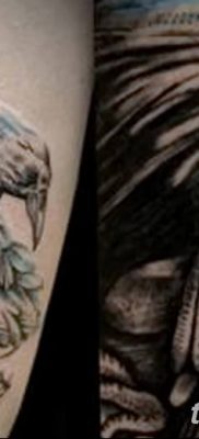 Фото тату ворон от 15.09.2018 №202 — raven tattoos — tatufoto.com