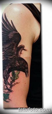 Фото тату ворон от 15.09.2018 №203 — raven tattoos — tatufoto.com