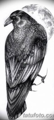 Фото тату ворон от 15.09.2018 №204 — raven tattoos — tatufoto.com