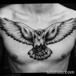 Фото тату ворон от 15.09.2018 №214 - raven tattoos - tatufoto.com